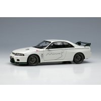 EIDOLON 1/43 Built By Legends Mine's Skyline GT-R (BCNR33)