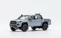 Gaincorp Products 1/64 Toyota TACOMA with Sports Light & Rack (LHD)