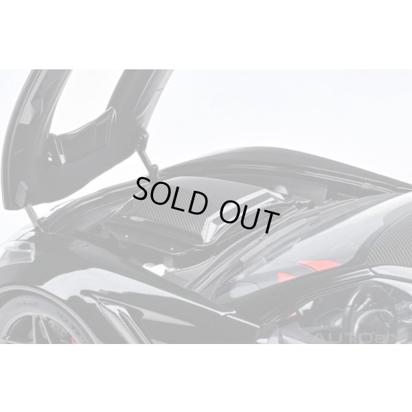 画像11: AUTOart 1/18 Chevrolet Corvette (C7) ZR1 (Black)