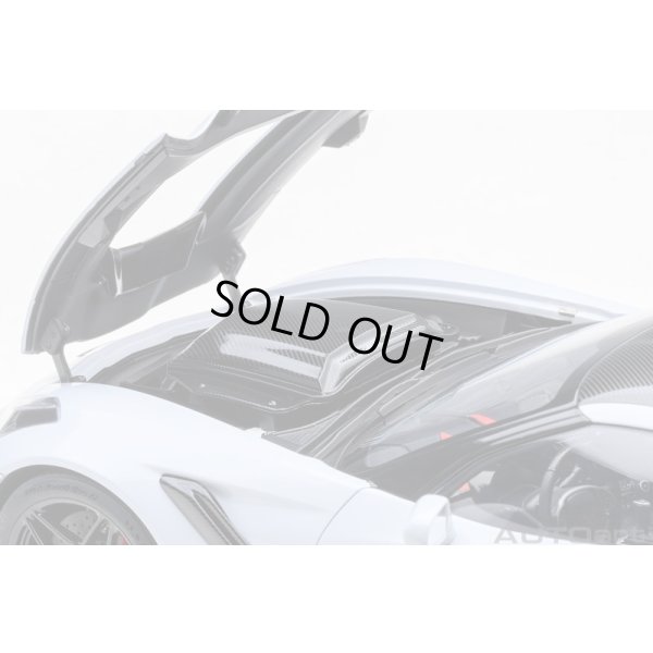 画像11: AUTOart 1/18 Chevrolet Corvette (C7) ZR1 (Gray Metallic)