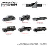 GREEN LiGHT 1/64 Black Bandit Series 29