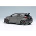 画像3: EIDOLON 1/43 Toyota GRMN Yaris Circuit Package 2022 Matte Steel (3)