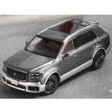 Gaincorp Products 1/64 Toyota Century (RHD) Gray/Silver