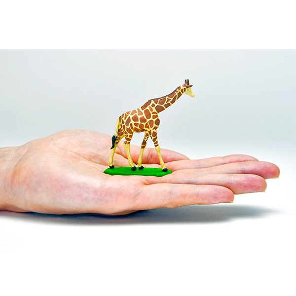 画像5: TOMYTEC 1/64 "Kaiyodo (海洋堂)" x "Tomica Limited Vintage" Diorama Collection 64 #CarSnap28a Safari 1 (with Toyota Land Cruiser FJ56V)