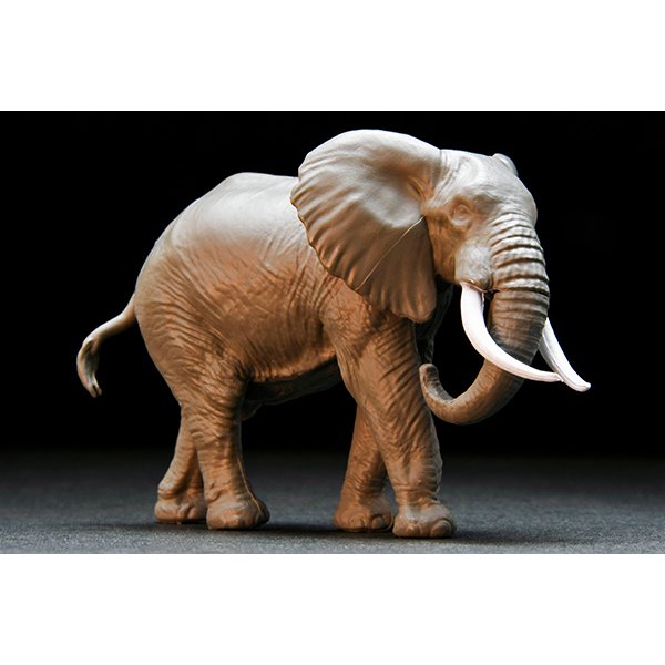 画像6: TOMYTEC 1/64 "Kaiyodo (海洋堂)" x "Tomica Limited Vintage" Diorama Collection 64 #CarSnap29a Safari 2 (with Toyota Hilux 4WD Pickup Double Cab)