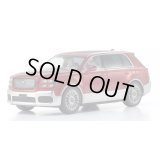 Kyosho Original 1/43 Toyota Century 紅蓮 (Red/Silver) with Fromage Interior