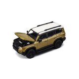 Trends Hobby 1/64 Toyota Land Cruiser 250 Sand