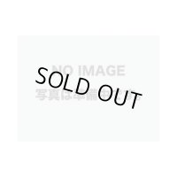 プラシート カーサイディング 1.0：厚 1.69：幅