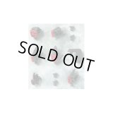 １／１００　ガンダムアストレアタイプＦ用２