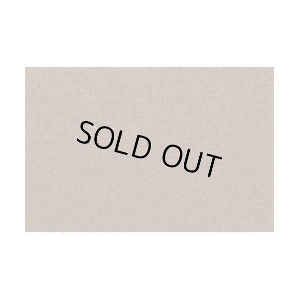 画像1: アオシマ 1/24 フロッキー粉末 (ダークベージュ) (1)