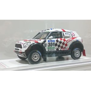 画像: TMS 1/43 MINI ALL4 Racing #304 Dakar Rally AXION X-raid Team