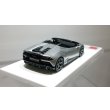 画像7: EIDOLON 1/43 Lamborghini Huracan EVO Spyder 2019 (AESIR wheel) Silver Limited 50 pcs. (7)
