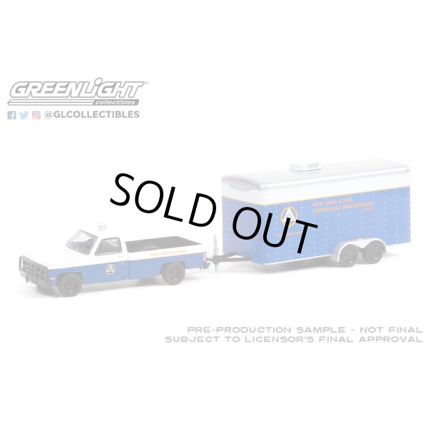 画像4: GREEN LiGHT 1/64 Hitch & Tow Series 22 (4)