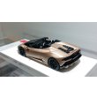 画像12: EIDOLON 1/43 Lamborghini Huracan EVO Spyder 2019 (NARVI wheel) Bronzo Zenas (Matt Bronze) Limited 50 pcs. (12)