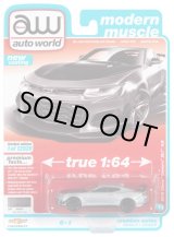 画像: auto world 1/64 2019 Chevy Camaro ZL1 1LE Satin Steel / Black