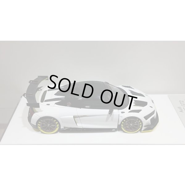 画像8: EIDOLON 1/43 Audi R8 LMS GT2 Goodwood Festival of Speed 2019 (8)