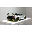 画像10: EIDOLON 1/43 Audi R8 LMS GT2 Goodwood Festival of Speed 2019 (10)