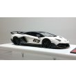画像5: EIDOLON 1/43 Lamborghini Aventador SVJ 63 2018 Matte Pearl White Limited 100 pcs. (5)