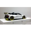 画像7: EIDOLON 1/43 Audi R8 LMS GT2 Goodwood Festival of Speed 2019 (7)