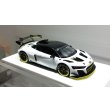 画像11: EIDOLON 1/43 Audi R8 LMS GT2 Goodwood Festival of Speed 2019 (11)