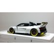 画像3: EIDOLON 1/43 Audi R8 LMS GT2 Goodwood Festival of Speed 2019 (3)