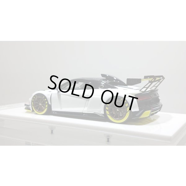 画像3: EIDOLON 1/43 Audi R8 LMS GT2 Goodwood Festival of Speed 2019 (3)