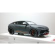 画像5: EIDOLON 1/43 Lamborghini URUS Graphite Capsule 2020 Grigio Keres / Alancio Borealis Limited 50 psc. (5)