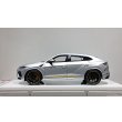 画像2: EIDOLON 1/43 Lamborghini URUS Graphite Capsule 2020 Grigionimbo / Giallo Inti Limited 50 pcs. (2)
