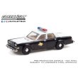 画像2: GREEN LiGHT EXCLUSIVE 1/64 1981 Dodge Diplomat --Texas Department of Public Safety (2)