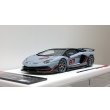 画像9: EIDOLON 1/43 Lamborghini Aventador SVJ 63 2018 Grigio Acheso (Matte Light Gray) Limited 63 pcs. (9)