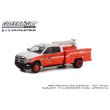 画像12: GREEN LiGHT 1/64 Dually Drivers Series 10 (12)