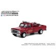 画像11: GREEN Light 1/64 Fire & Rescue Series 3 (11)
