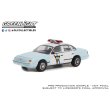 画像10: GREEN LiGHT 1/64 Hot Pursuit Series 42 (10)