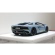 画像10: EIDOLON 1/43 Lamborghini Aventador S Japan Limited Edition 2021 Grigio Vulcano Limited 50 pcs. (10)