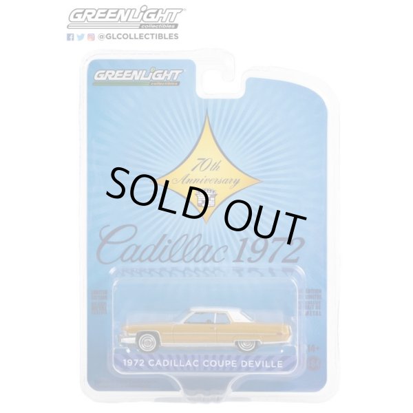 画像9: GREEN Light 1/64 Anniversary Collection Series 14 (9)