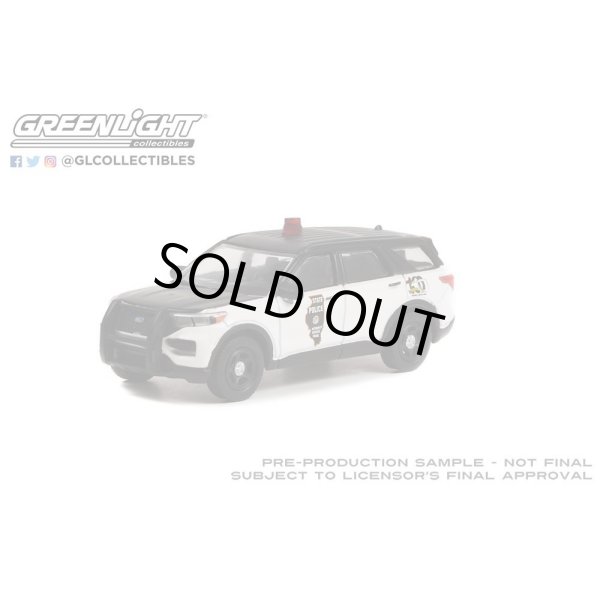 画像7: GREEN Light 1/64 Anniversary Collection Series 14 (7)