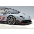 画像6: EIDOLON 1/18 Lamborghini Aventador SVJ 63 2018 Grigio Aqueso Limited 63 pcs. (6)