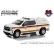 画像6: Green Light 1/64 First Responders Series 1 (6)