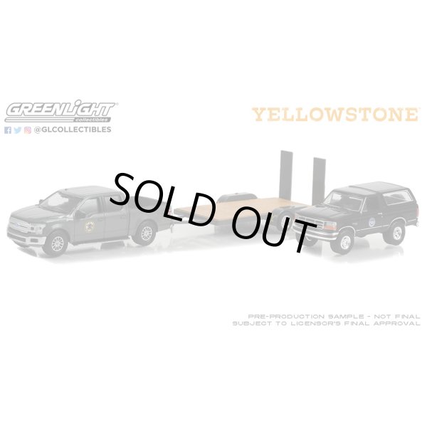 画像4: Green Light 1/64 Hollywood Hitch & Tow Series 11 (4)