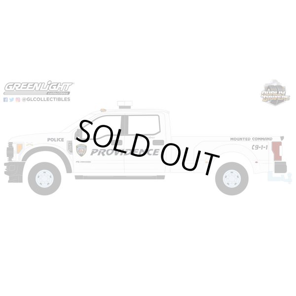 画像13: GREEN Light 1/64 Dually Drivers Series 12 (13)