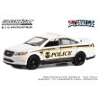 画像5: GREEN LiGHT 1/64 Hot Pursuit Special Edition - United States Secret Service Police Assortment (5)