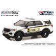 画像7: GREEN LiGHT 1/64 Hot Pursuit Special Edition - United States Secret Service Police Assortment (7)