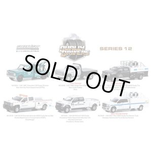 画像: GREEN Light 1/64 Dually Drivers Series 12