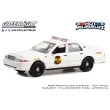 画像3: GREEN LiGHT 1/64 Hot Pursuit Special Edition - United States Secret Service Police Assortment (3)