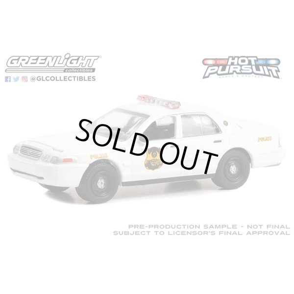 画像3: GREEN LiGHT 1/64 Hot Pursuit Special Edition - United States Secret Service Police Assortment (3)