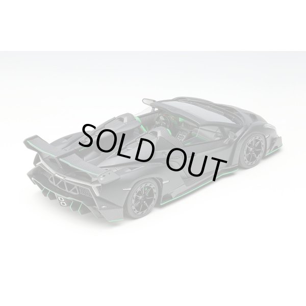 画像14: EIDOLON COLLECTION 1/43 Lamborghini Veneno Roadster 2015 Matte Black Limited 80 pcs. (14)