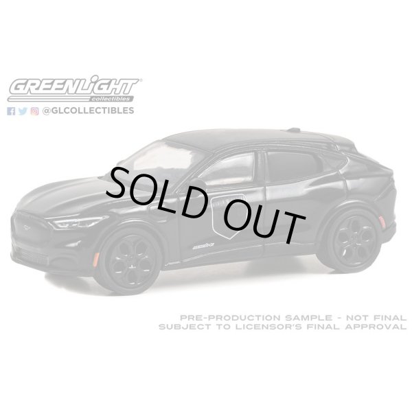 画像7: GREEN Light 1/64 Black Bandit Series 28 (7)