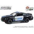 画像1: GREEN LiGHT EXCLUSIVE 1/64 2009 Ford Mustang GT - Edmonton Police, Edmonton, Alberta, Canada - Blue Line Racing 25 Years (1)