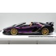 画像2: EIDOLON 1/43 Lamborghini Aventador SVJ Roadster 2020 2 tone paint Alba Cielo / Metallic Black Limited 35 pcs. (2)