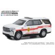 画像7: GREEN LiGHT 1/64 Fire & Rescue Series 4 (7)